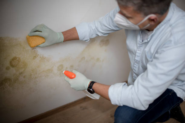 Biohazard Mold Removal